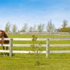 Horse Fencing